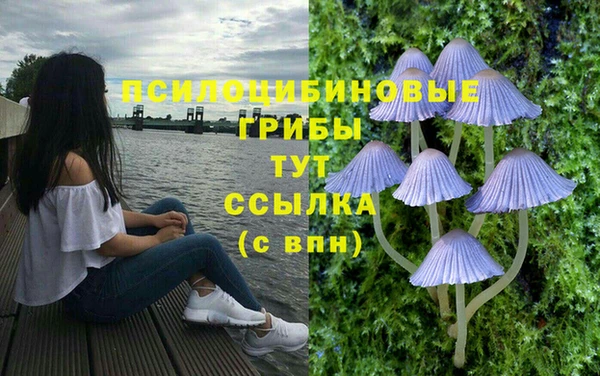 альфа пвп Горнозаводск