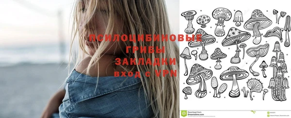 альфа пвп Горнозаводск